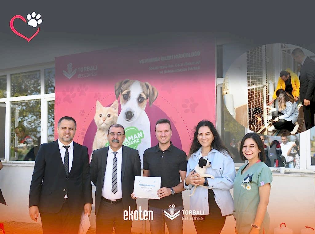 barınak post_linkedin